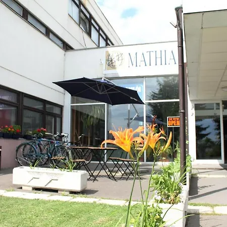 بيت شباب Mathias *