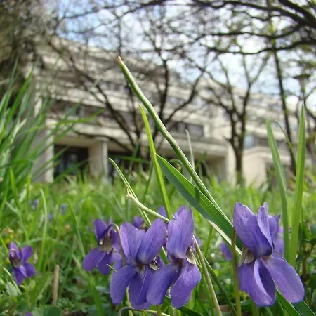 Hostel Mathias